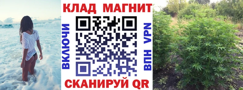 Где купить Тогучин КОКАИН Галлюциногенные грибы KRAKEN сайт Меф мяу мяу