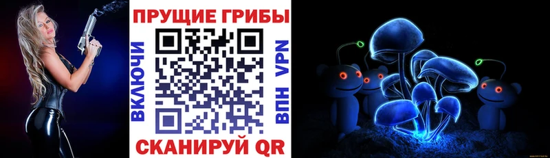 Галлюциногенные грибы Psilocybine cubensis  Тогучин 